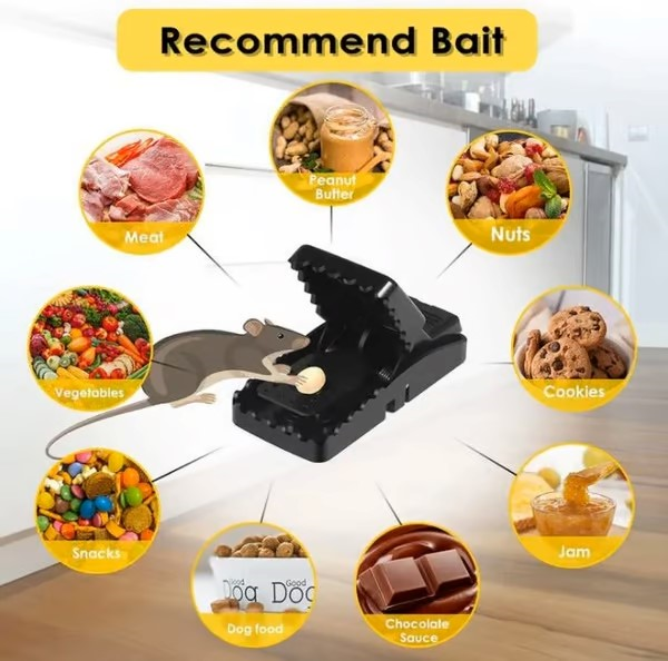 🔥Highly Sensitive Reusable Mouse Trap🌙