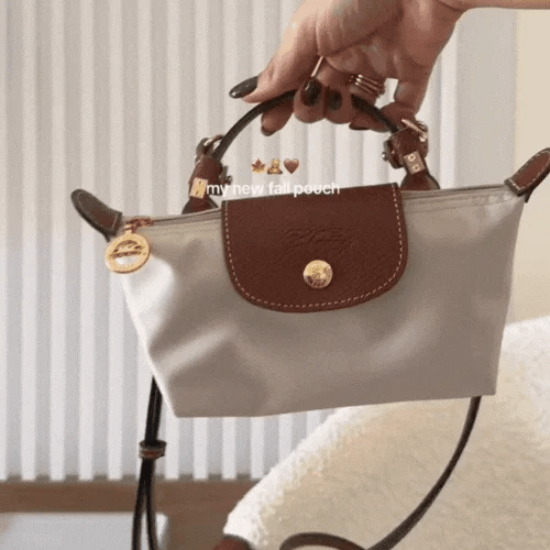 Longchamp Mini Bag