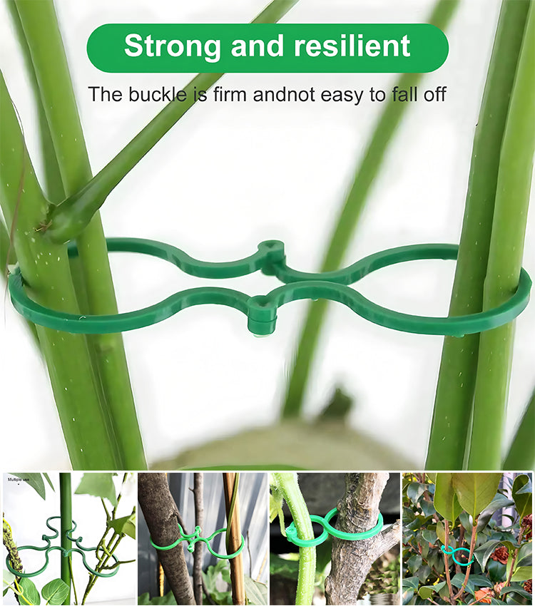 🍇【300 PCS】🌱Fixing clip with figure-of-eight buckle for climbing plants, for garden/vegetable garden/orchard, for vine ties