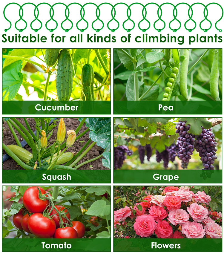 🍇【300 PCS】🌱Fixing clip with figure-of-eight buckle for climbing plants, for garden/vegetable garden/orchard, for vine ties